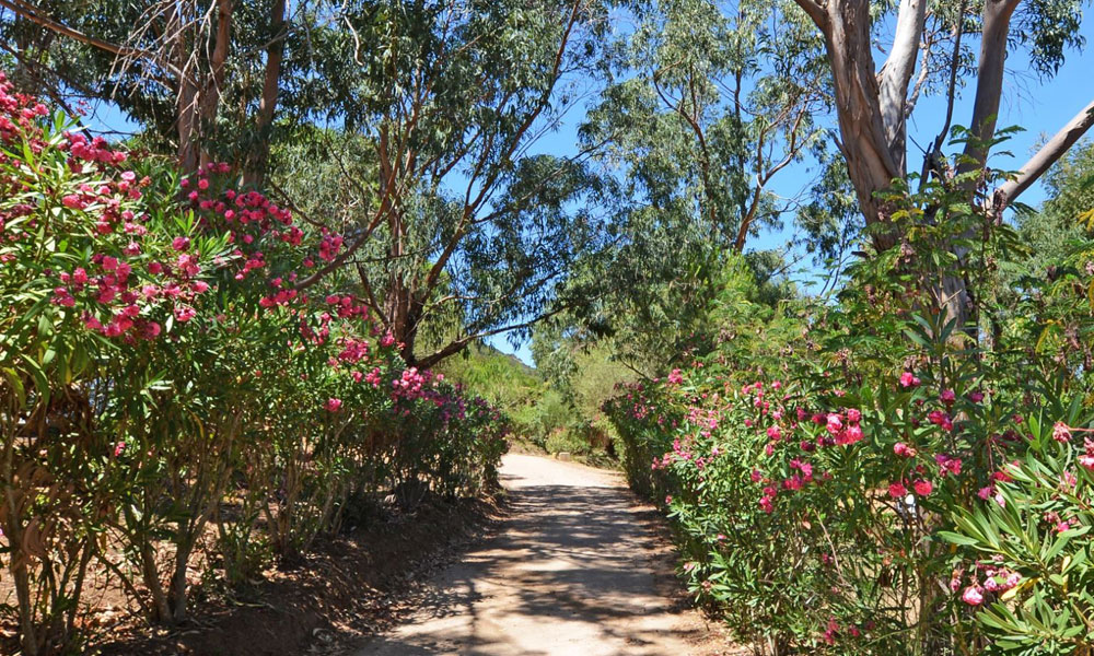 Bella Vista