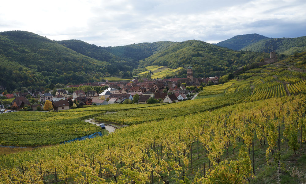 Camping Municipal de Kaysersberg-Vignoble