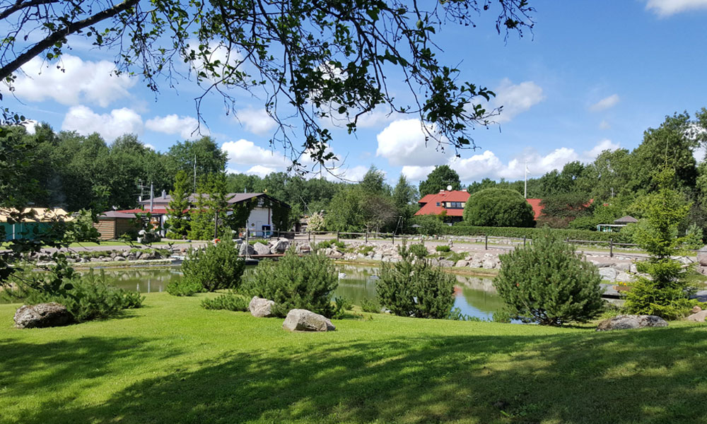 Kivi Talu