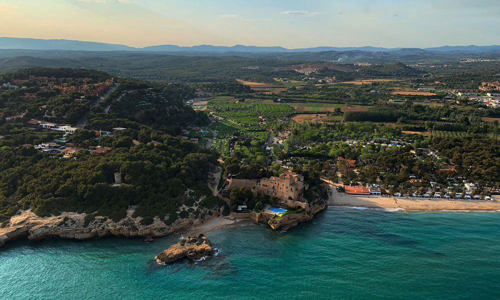 Trillas Platja Tamarit