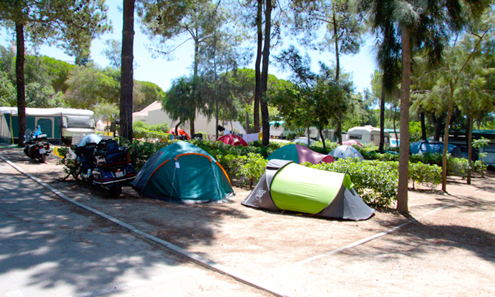 Camping Olhão - Camping Tablet