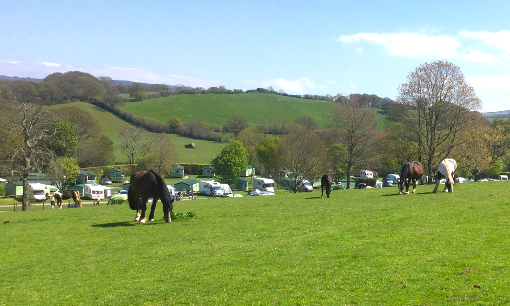 Burrowhayes Farm