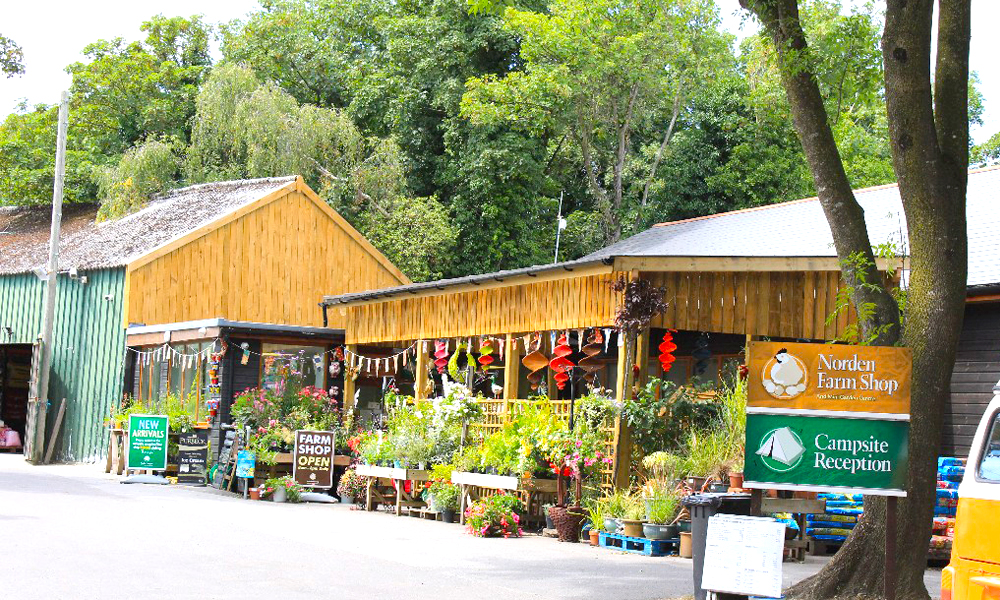 Norden Farm Campsite