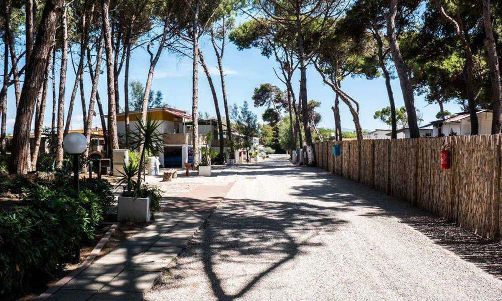 Golden Beach Cinzia
