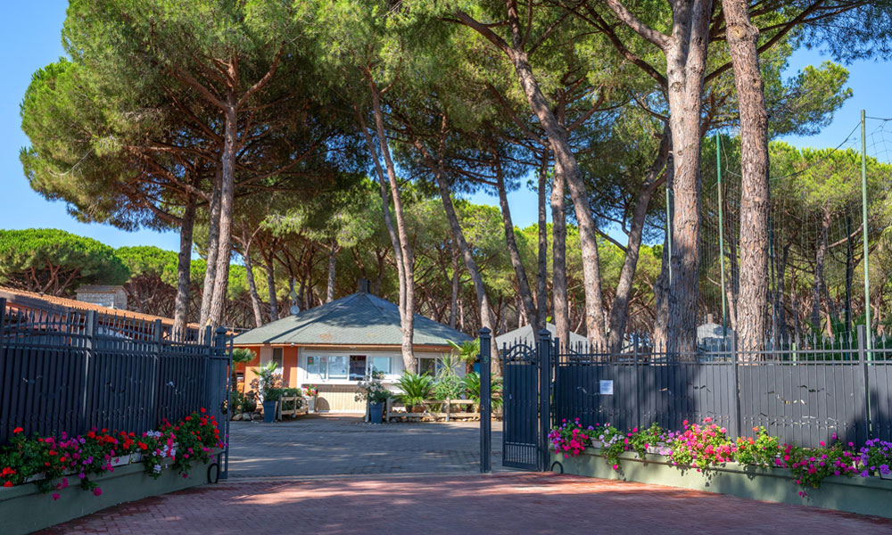 Il Gabbiano Camping Village