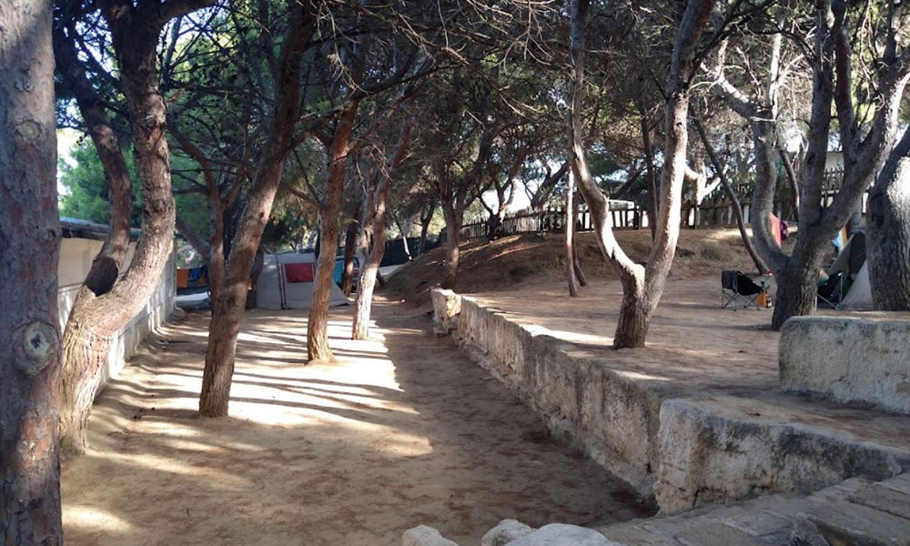 Internazionale Nettuno