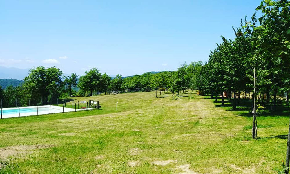 Le Carbonaie Agricampeggio