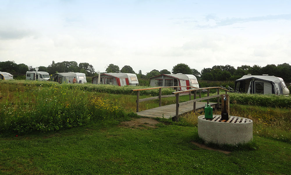 Naturist De Kikker