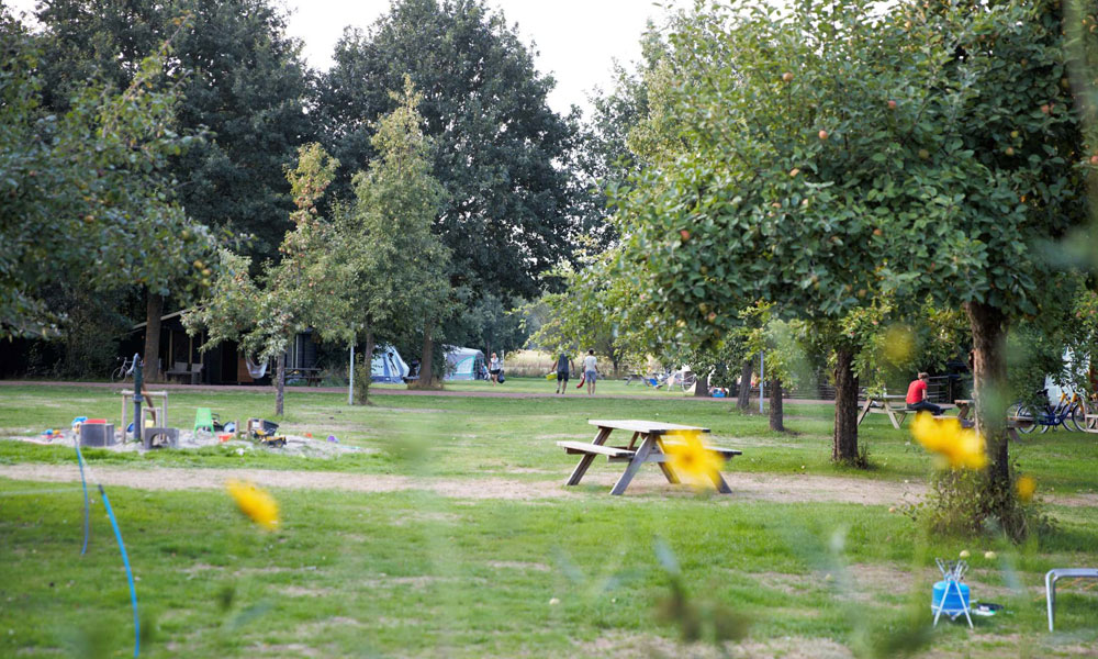 Natuurkampeerterrein De Haverkamp