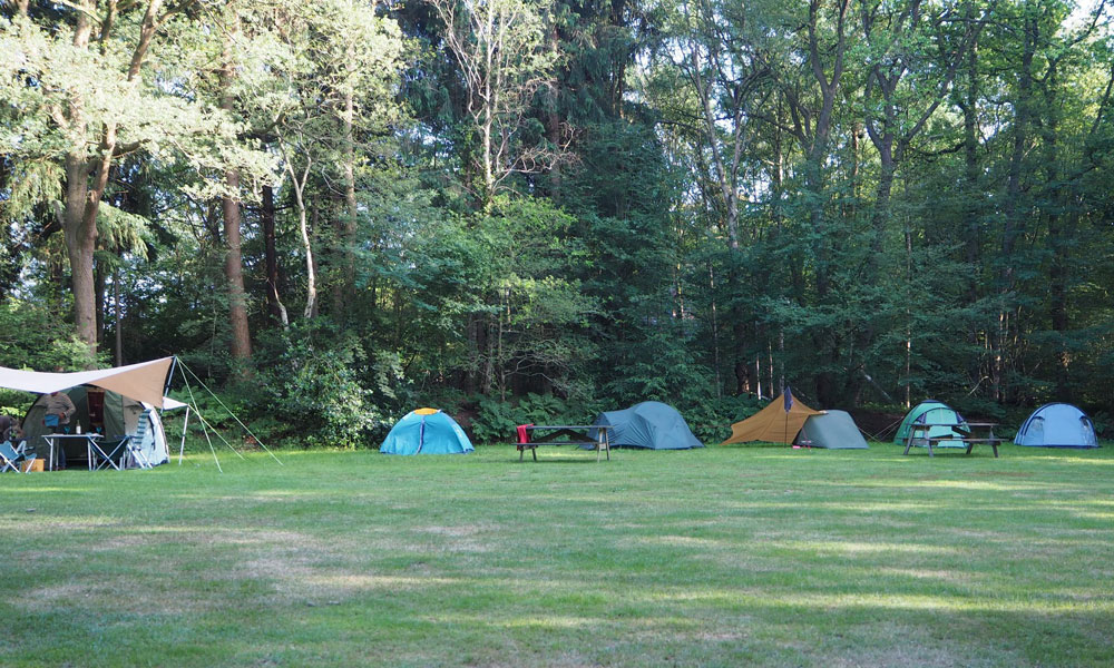 Natuurkampeerterrein De Hondsrug