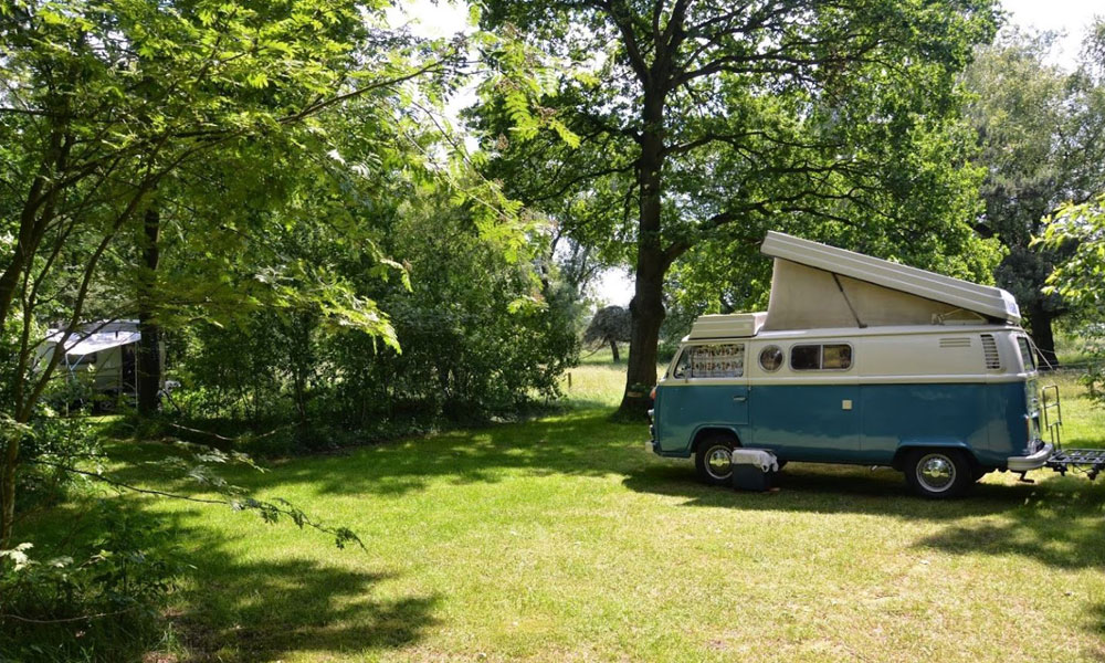 Natuurkampeerterrein De Slangenborg