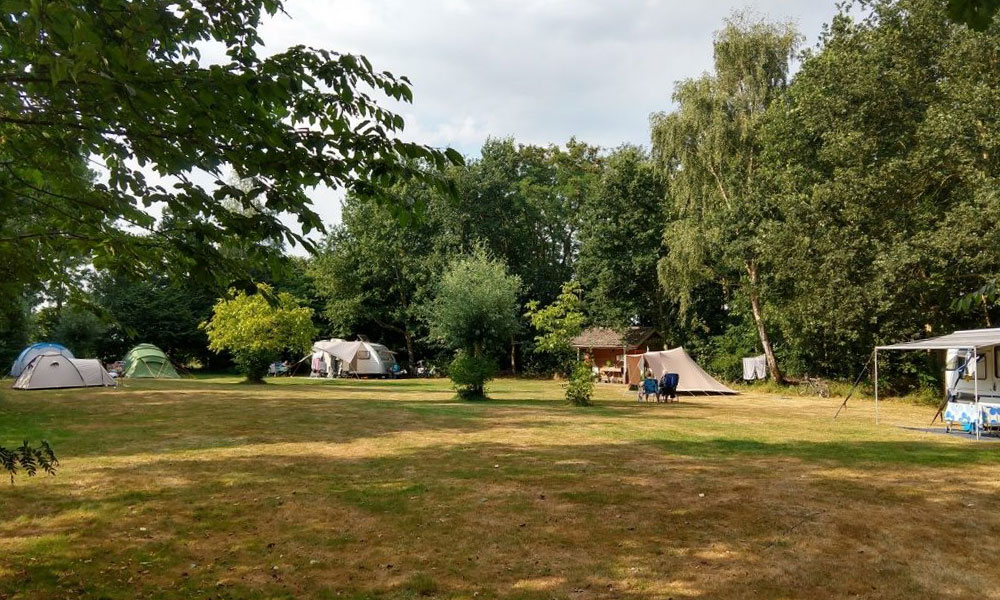 Natuurkampeerterrein Fleremaheerd