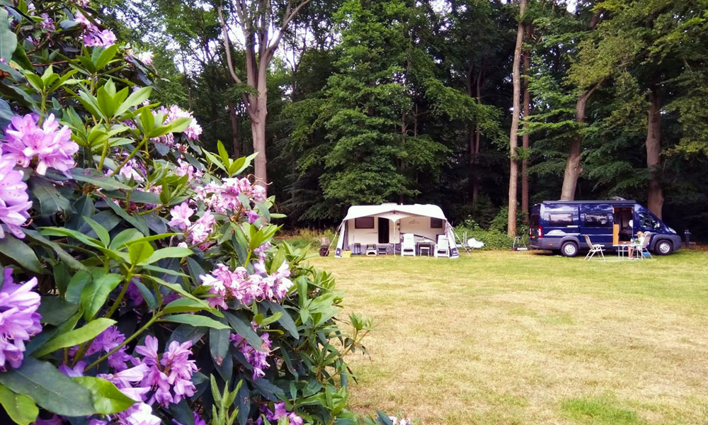 Natuurkampeerterrein de Oldenhof