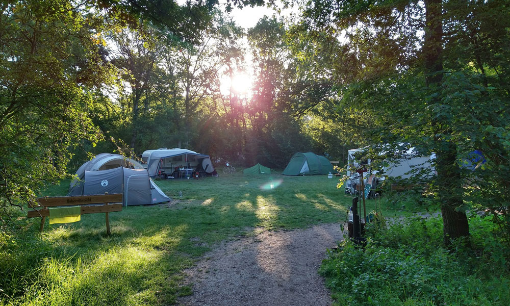 Natuurkampeerterrein de Ruigenhoek