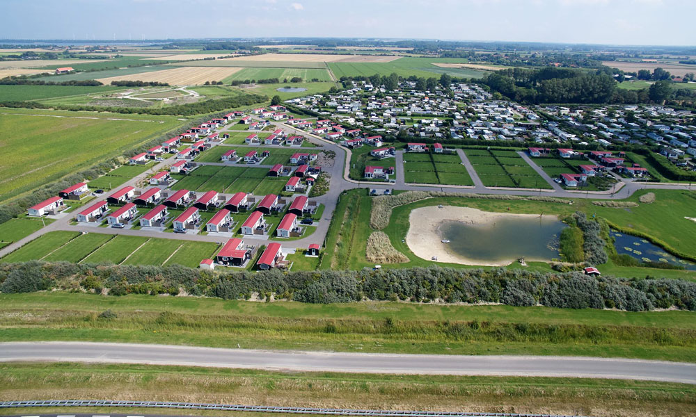 Olmenveld