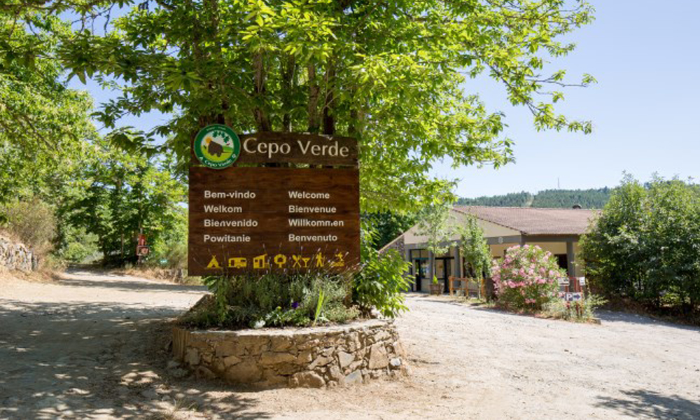 Camping Cepo Verde