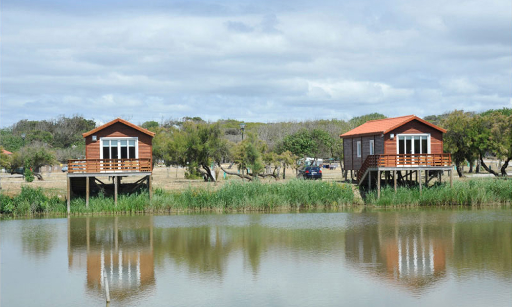 Camping Municipal de Mira