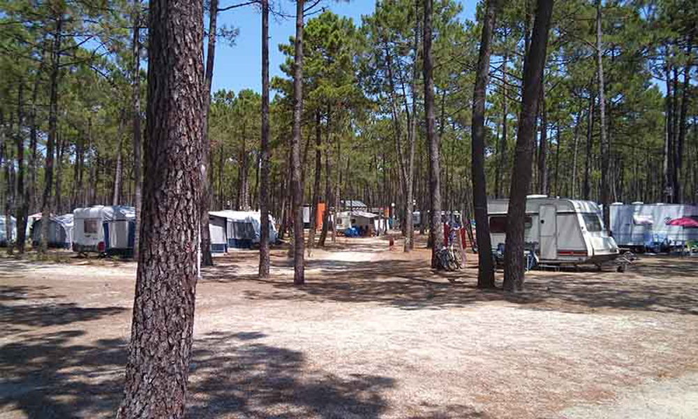 Camping Orbitur-Vagueira