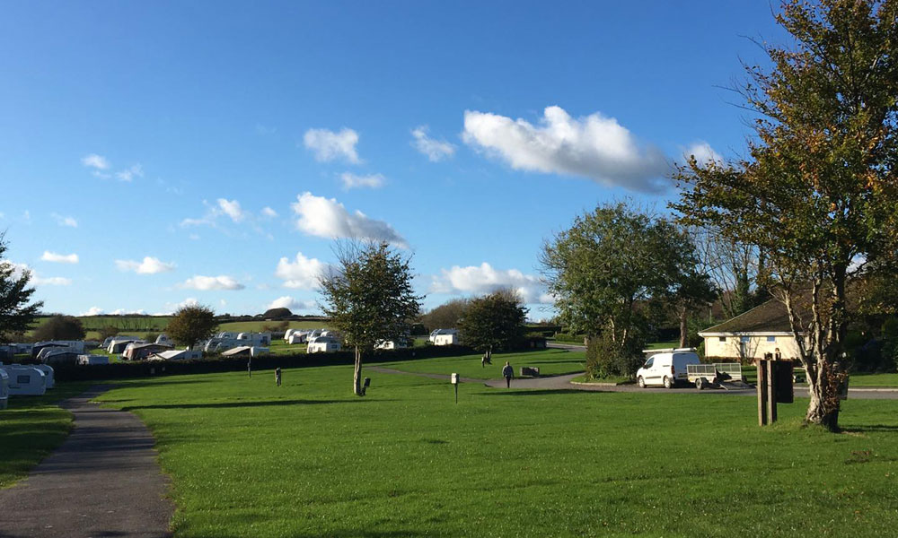 Stowford Farm Meadows