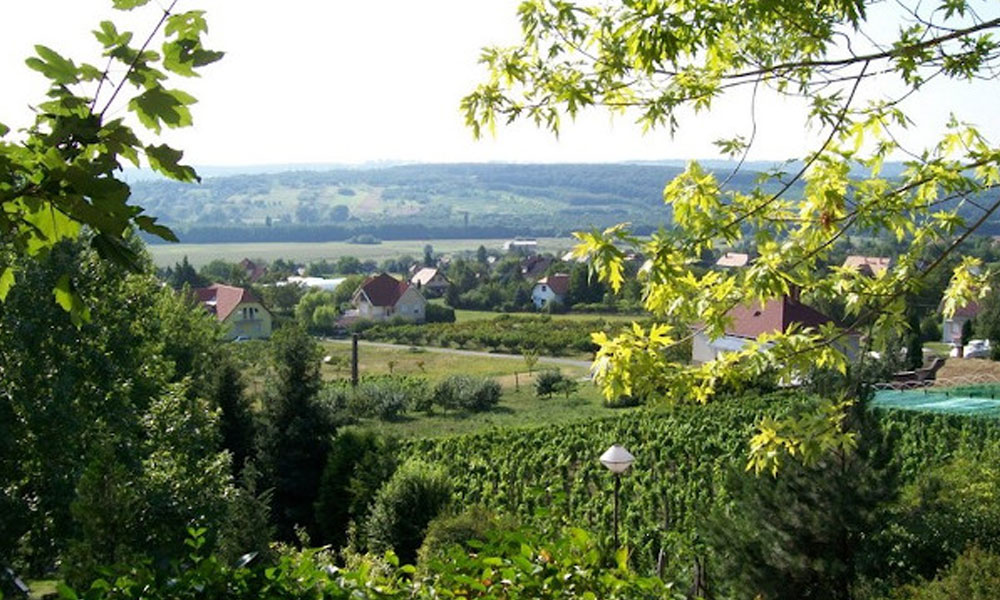 Panoráma