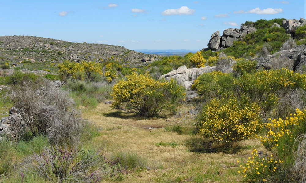 Quinta do Maral - Naturist